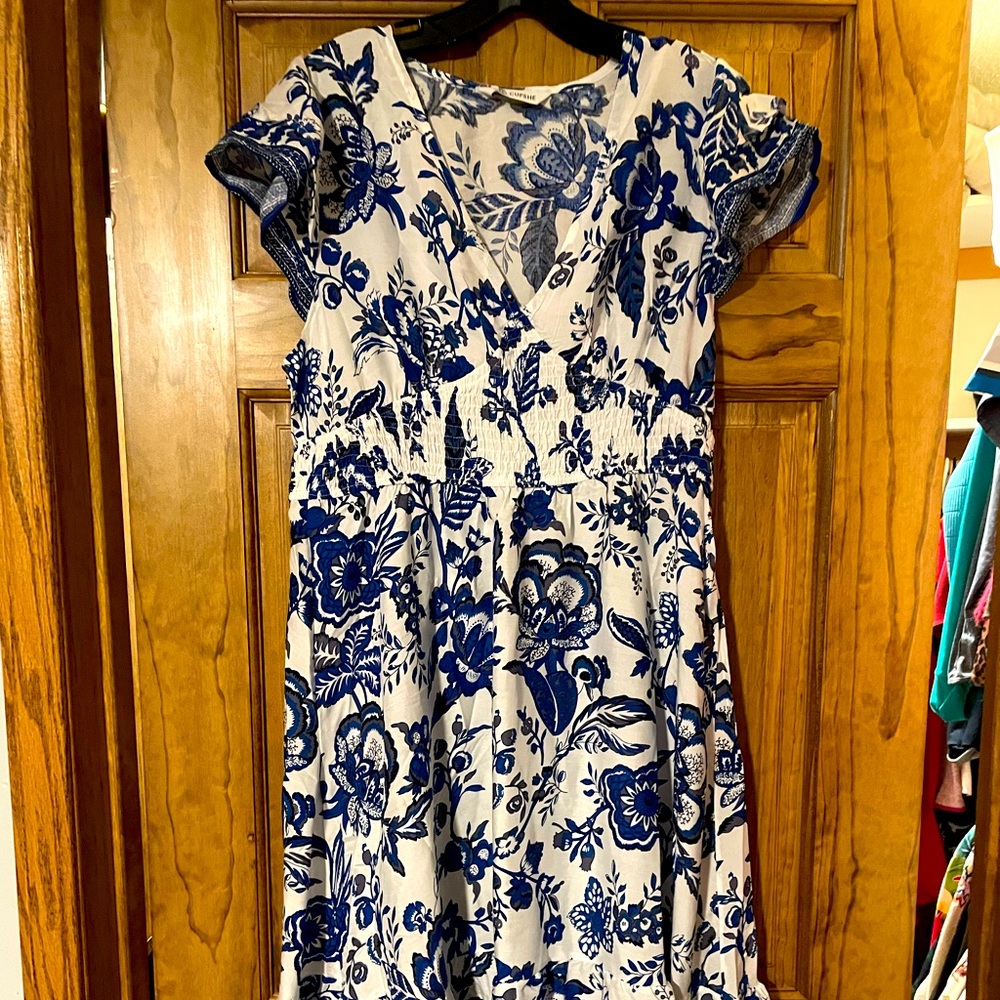 Blue and white floral maxi dress